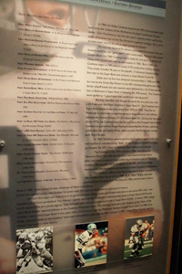 Pro Football Hall of Fame 18.JPG